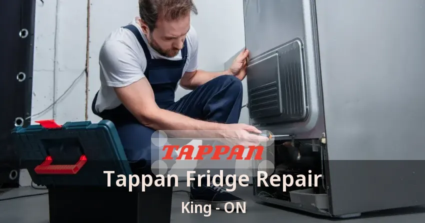 Tappan Fridge Repair King - ON