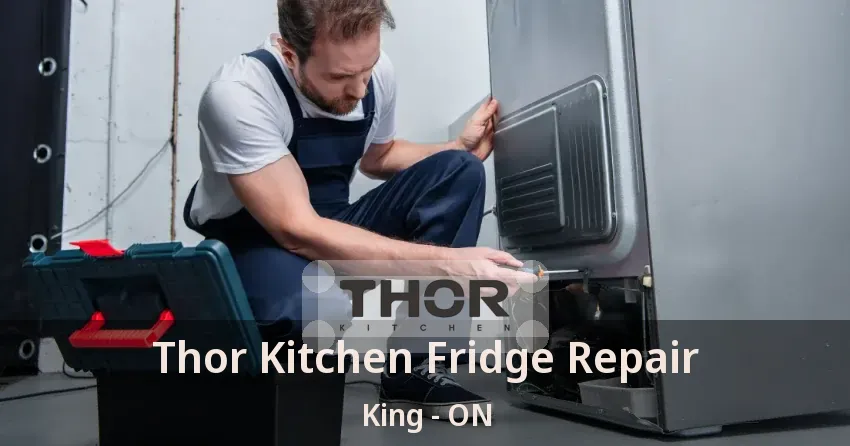 Thor Kitchen Fridge Repair King - ON