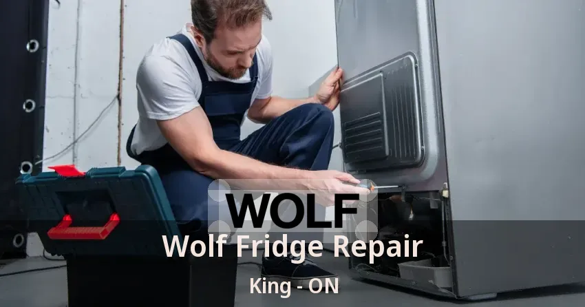 Wolf Fridge Repair King - ON