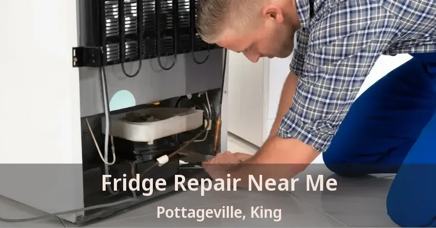 Fridge Repair Near Me Pottageville, King - ON