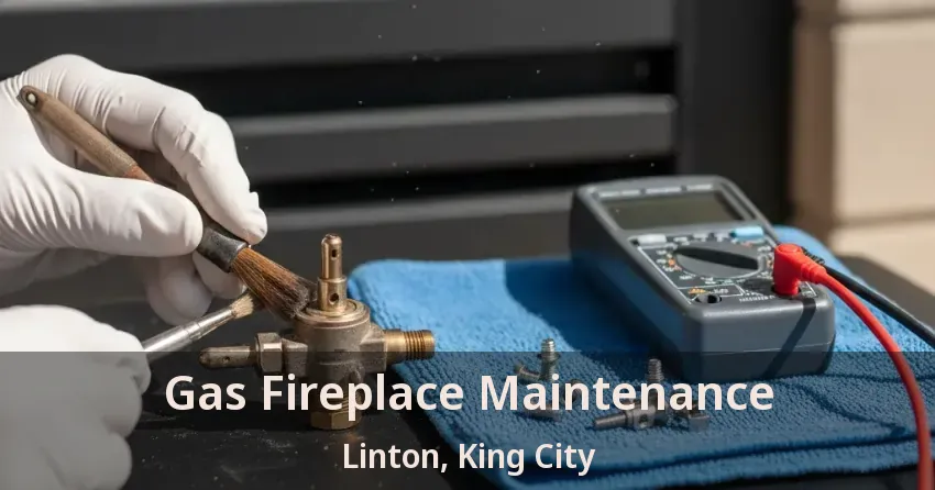 Gas Fireplace Maintenance Linton, King City - ON