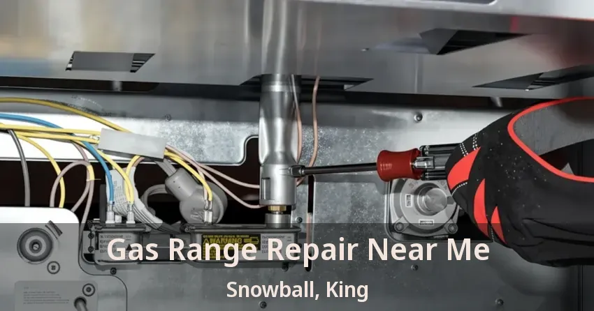 Gas Range Repair Near Me Snowball, King - ON