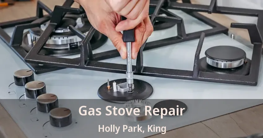 Gas Stove Repair Holly Park, King - ON
