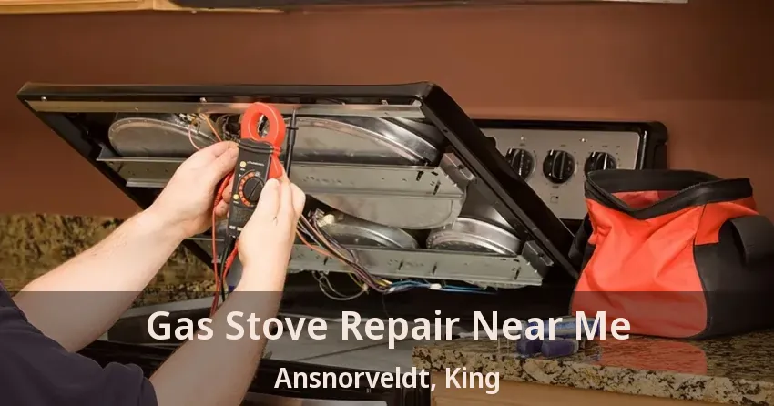 Gas Stove Repair Near Me Ansnorveldt, King - ON