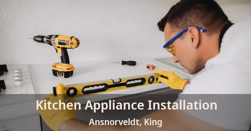 Kitchen Appliance Installation Ansnorveldt, King - ON