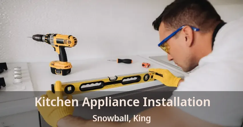 Kitchen Appliance Installation Snowball, King - ON