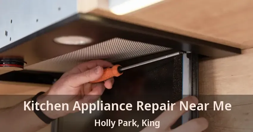 Kitchen Appliance Repair Near Me Holly Park, King - ON