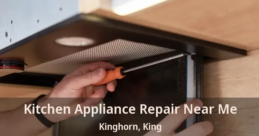 Kitchen Appliance Repair Near Me Kinghorn, King - ON