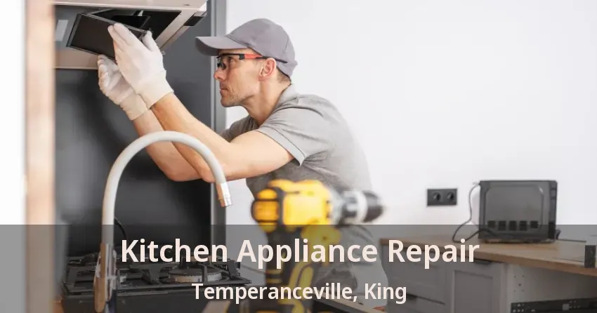 Kitchen Appliance Repair Temperanceville, King - ON