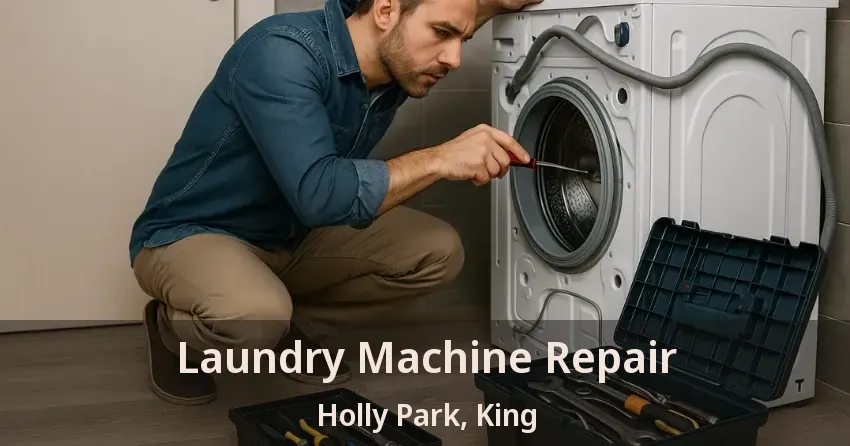 Laundry Machine Repair Holly Park, King - ON