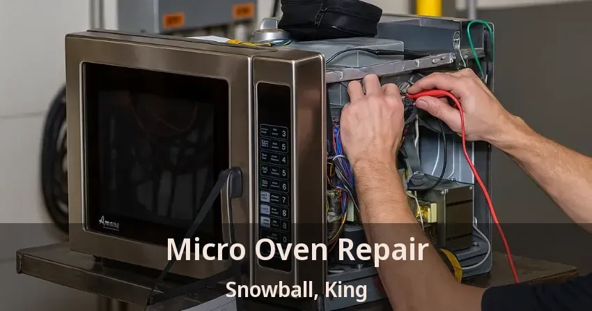 Micro Oven Repair Snowball, King - ON