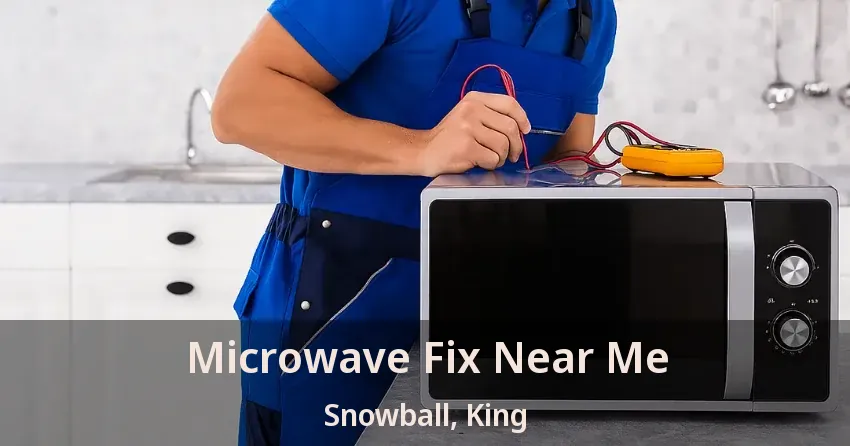 Microwave Fix Near Me Snowball, King - ON