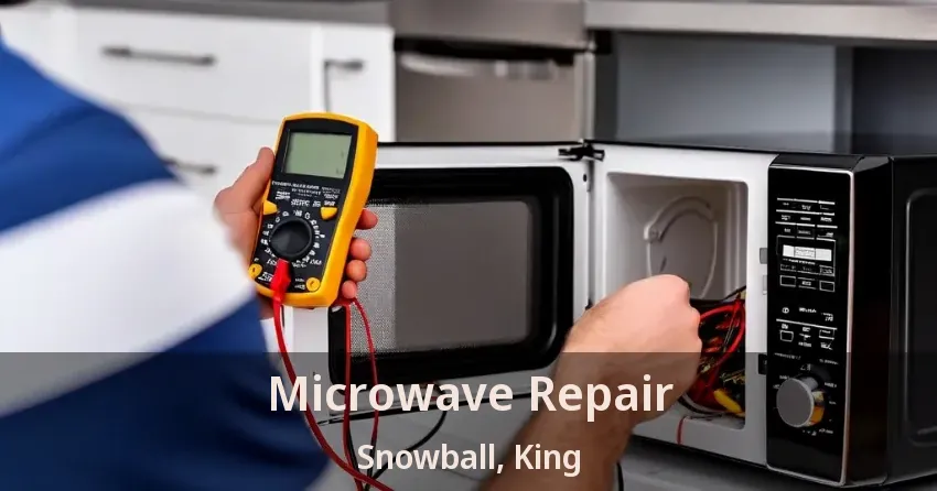 Microwave Repair Snowball, King - ON