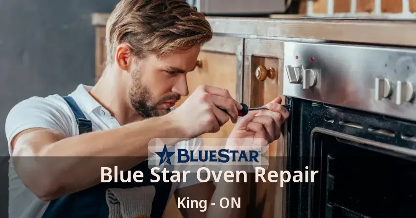 Blue Star Oven Repair King - ON