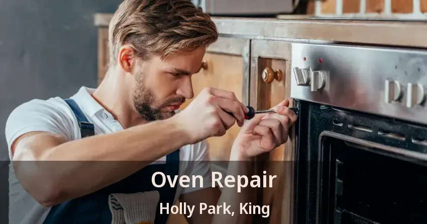Oven Repair Holly Park, King - ON