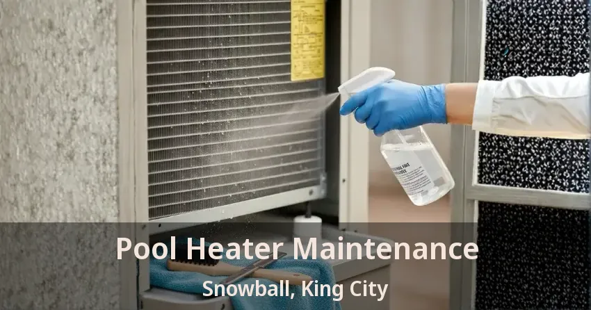 Pool Heater Maintenance Snowball, King City - ON