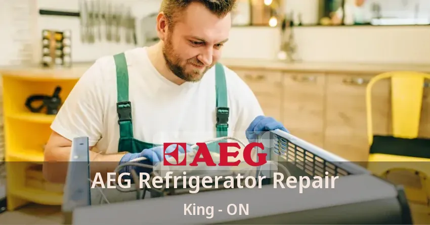 AEG Refrigerator Repair King - ON