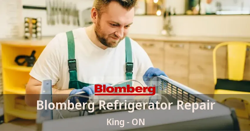 Blomberg Refrigerator Repair King - ON