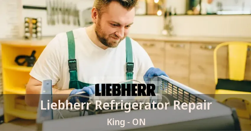 Liebherr Refrigerator Repair King - ON