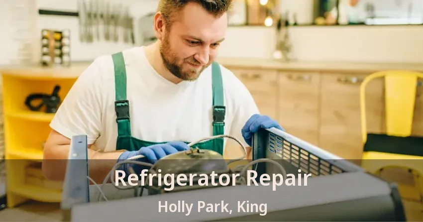 Refrigerator Repair Holly Park, King - ON