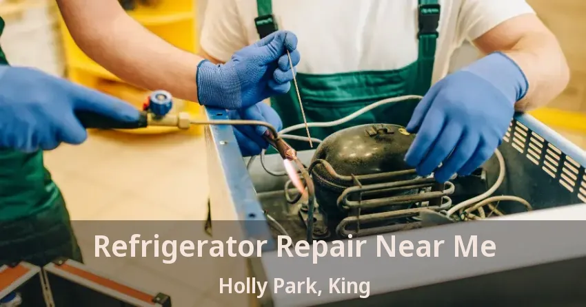 Refrigerator Repair Near Me Holly Park, King - ON