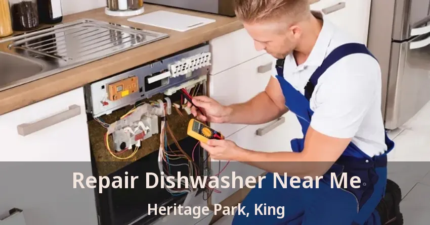 Repair Dishwasher Near Me Heritage Park, King - ON