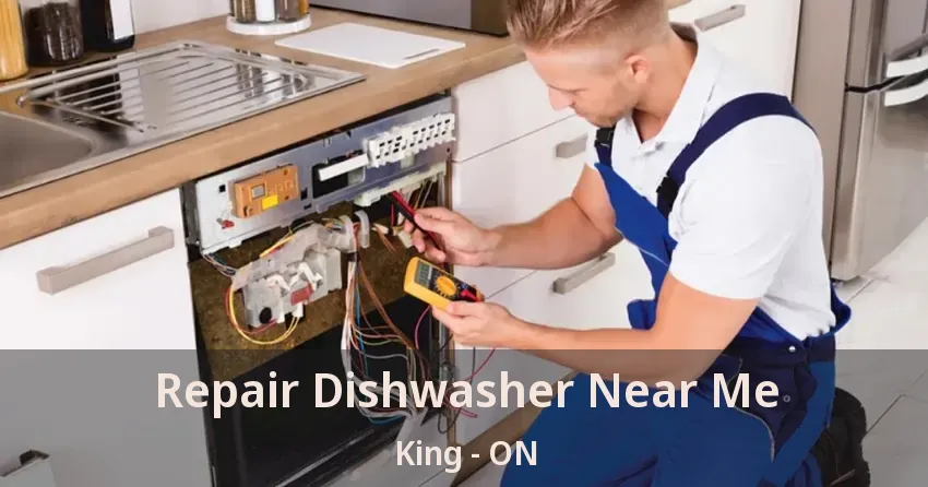 Repair Dishwasher Near Me King - ON