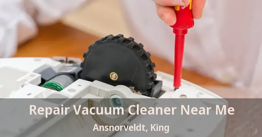 Repair Vacuum Cleaner Near Me Ansnorveldt, King - ON