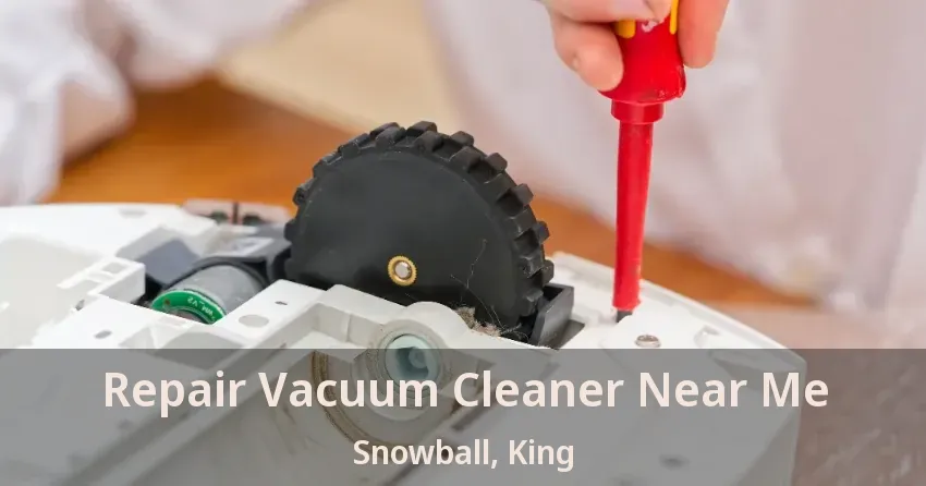 Repair Vacuum Cleaner Near Me Snowball, King - ON