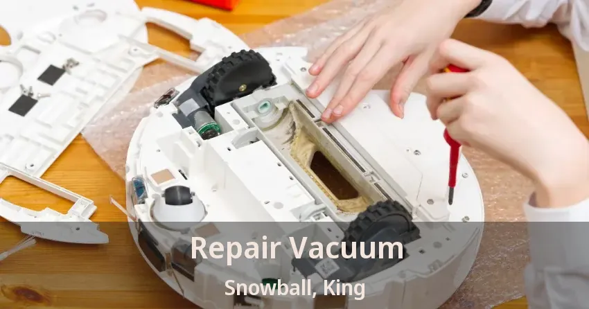 Repair Vacuum Snowball, King - ON