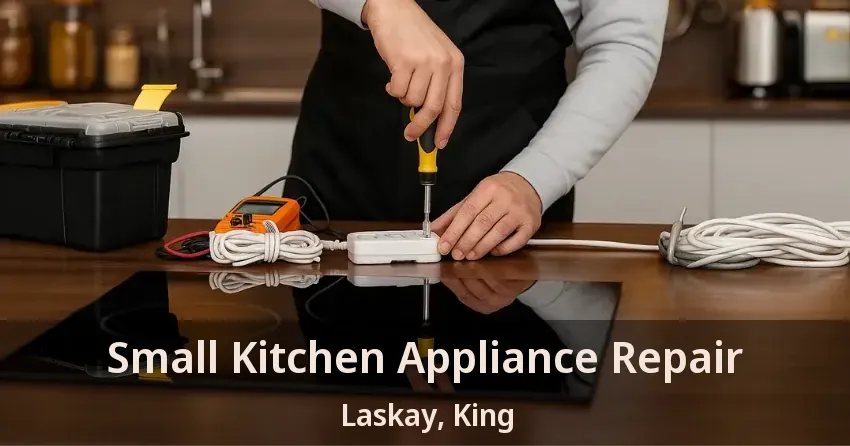 Small Kitchen Appliance Repair Laskay, King - ON