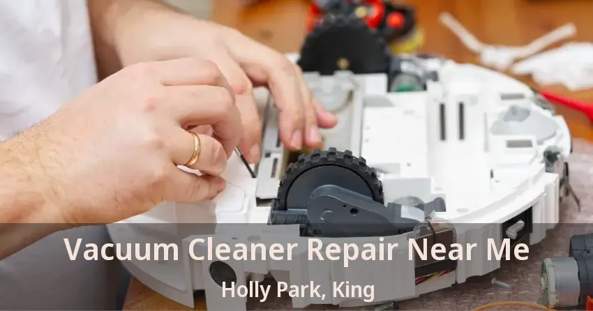 Vacuum Cleaner Repair Near Me Holly Park, King - ON
