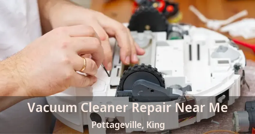 Vacuum Cleaner Repair Near Me Pottageville, King - ON