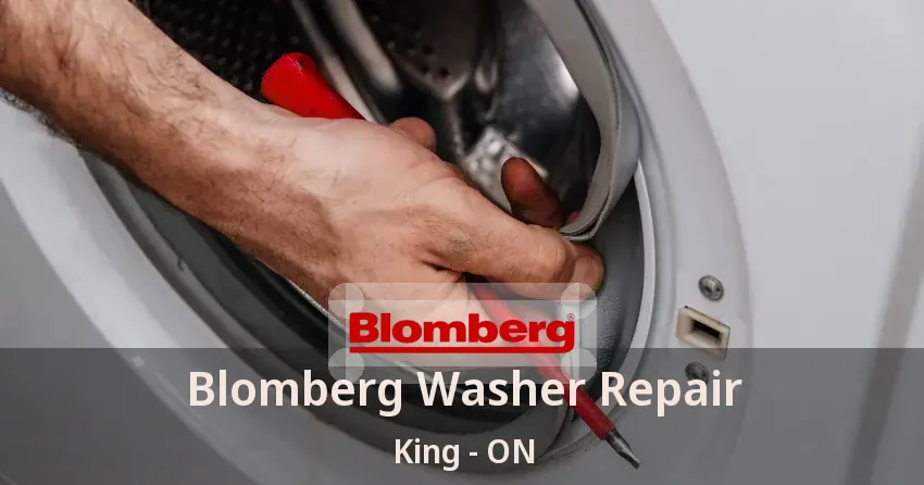 Blomberg Washer Repair King - ON