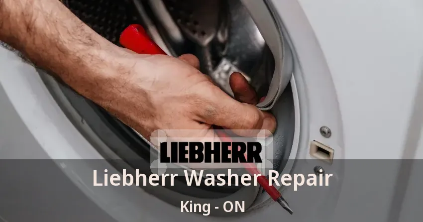 Liebherr Washer Repair King - ON