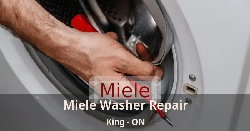 Miele Washer Repair King - ON