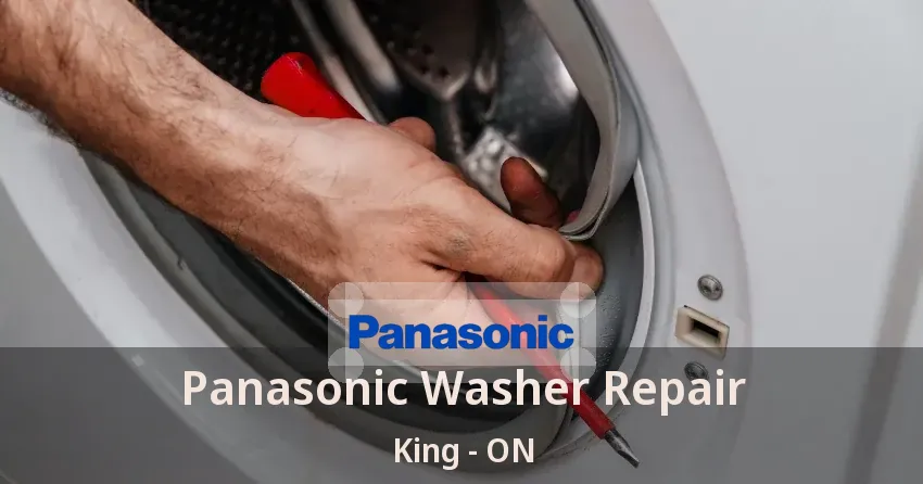 Panasonic Washer Repair King - ON