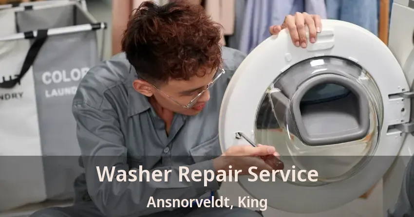 Washer Repair Service Ansnorveldt, King - ON