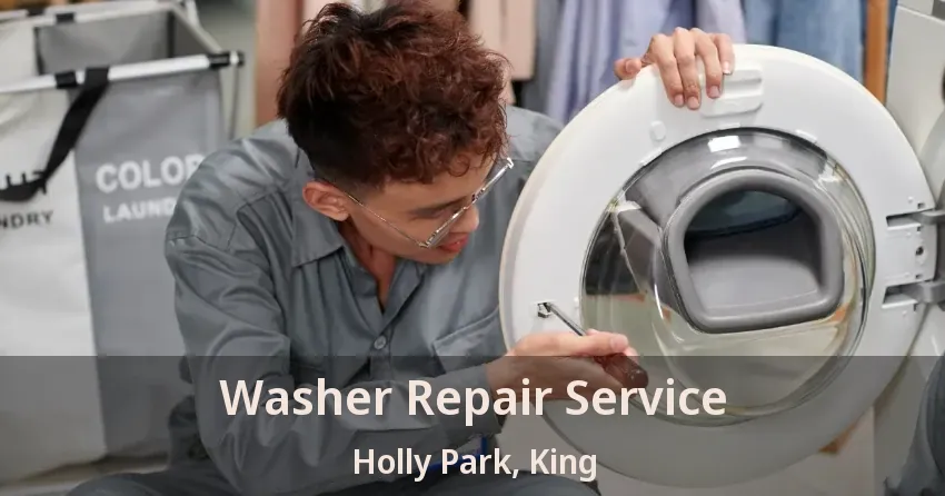 Washer Repair Service Holly Park, King - ON