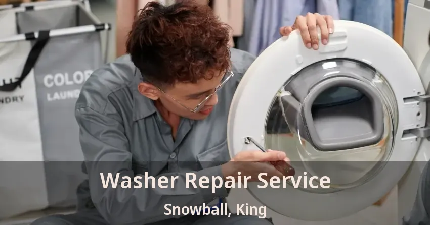 Washer Repair Service Snowball, King - ON