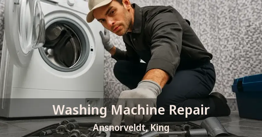 Washing Machine Repair Ansnorveldt, King - ON