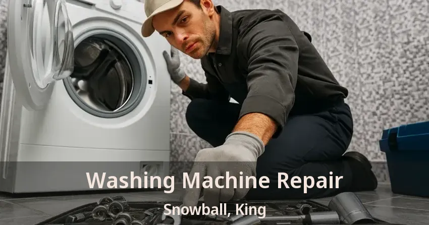Washing Machine Repair Snowball, King - ON