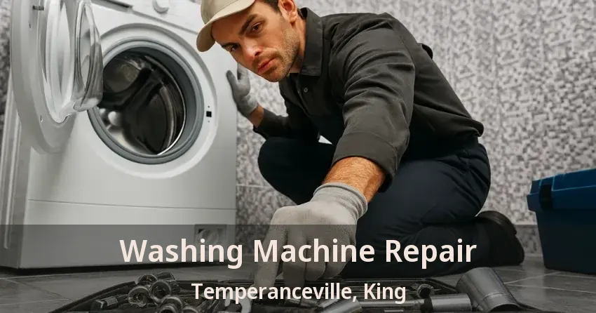 Washing Machine Repair Temperanceville, King - ON